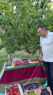 Армянские фрукты впервые отправлены в ОАЭ